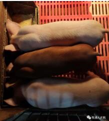 QQ圖片20211125132737.jpg 圖片