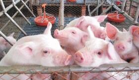 微信圖片_20210512164312.jpg 圖片